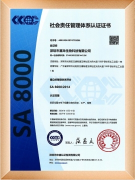 SA8000社会责任管理体系认证