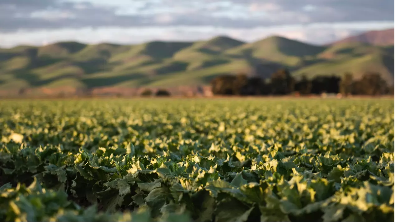 真味生物始终密切关注利益相关方心声，把社会责任理念融入企业发展，不断探本溯源，推动节能减排项目实施，致力于引领行业健康发展