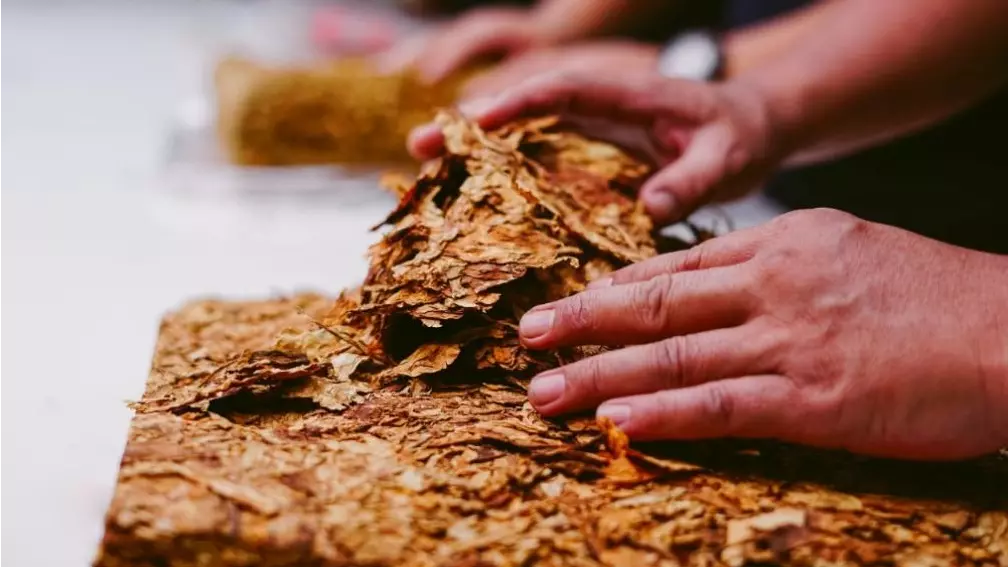 特征风味是主导性的风味