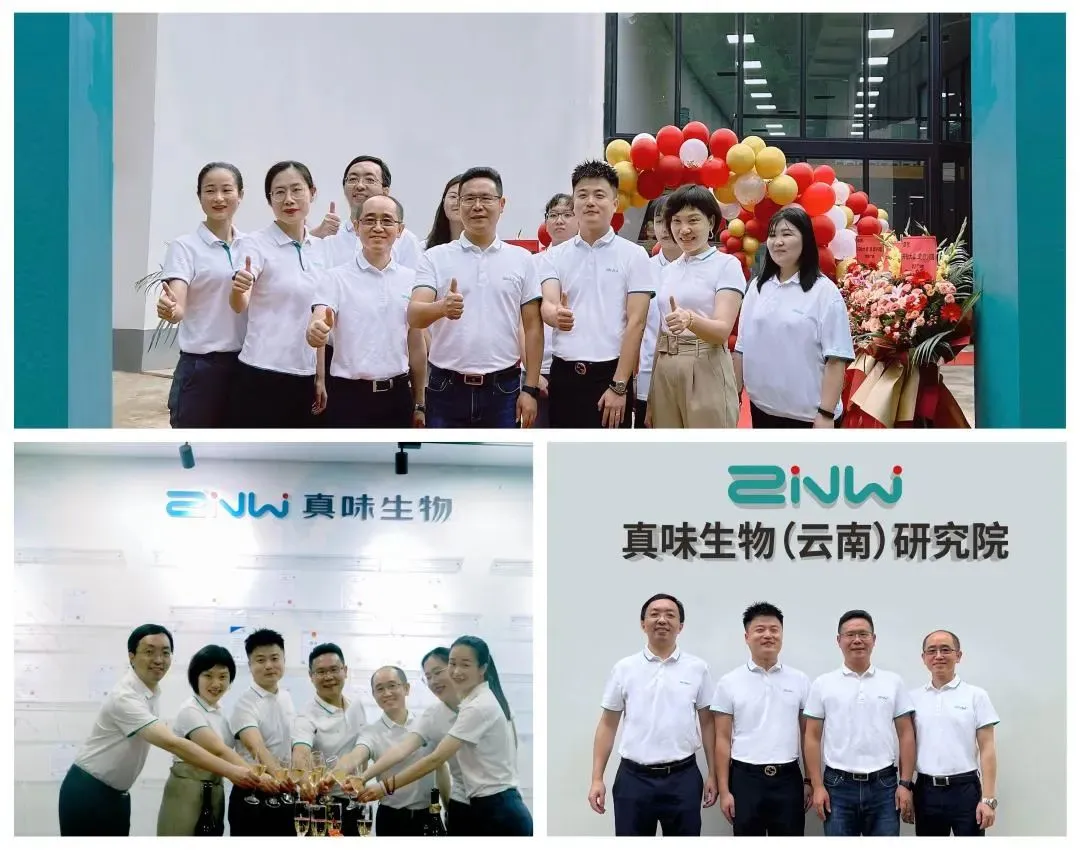 真味生物是第一批获批《烟草专卖生产许可证（电子烟产品生产企业）》的雾化物企业，有鉴于此，真味生物（云南）研究院在真味人的精心准备、认真组织下正式成立了。