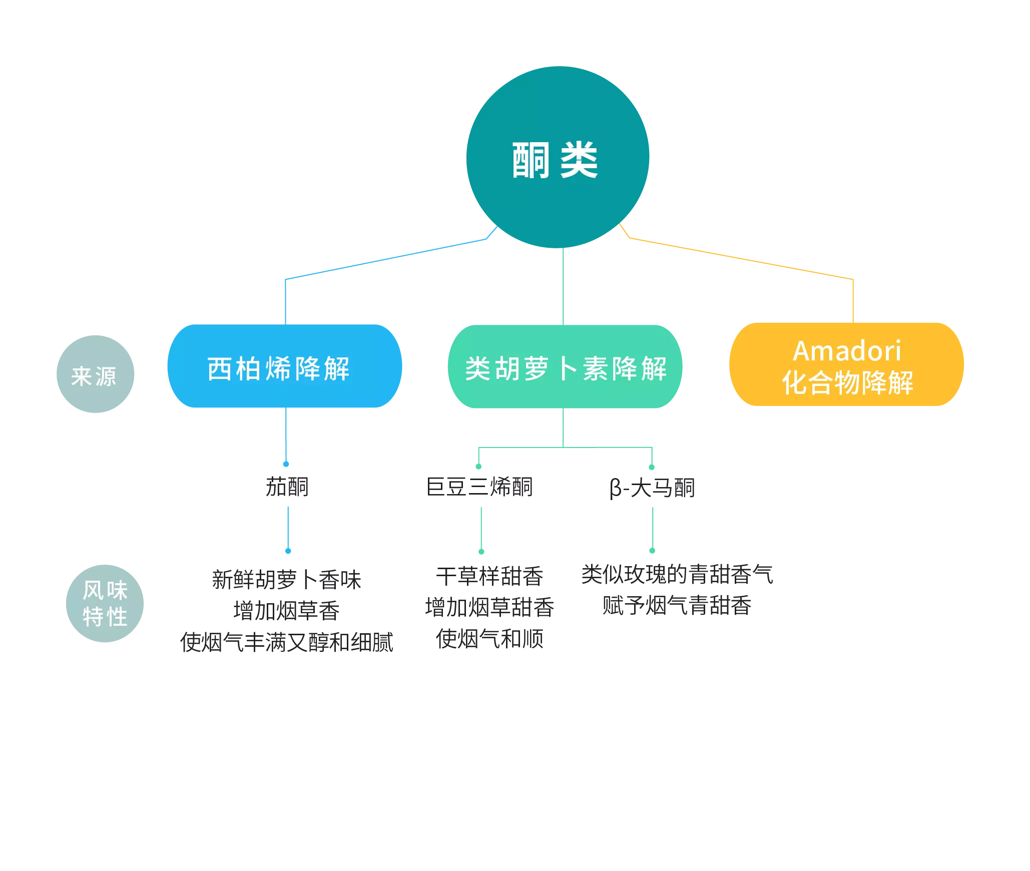 酮类是烟草和烟气中性成分最主要的组成物质，来源主要是由西柏烯的降解、类胡萝卜素的降解、Amadori化合物的降解形成。