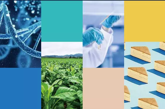 在香气特征方面，优质的烟草风味电子雾化液应该在头香、中香、尾香的感受中皆具鲜明的香气风格。