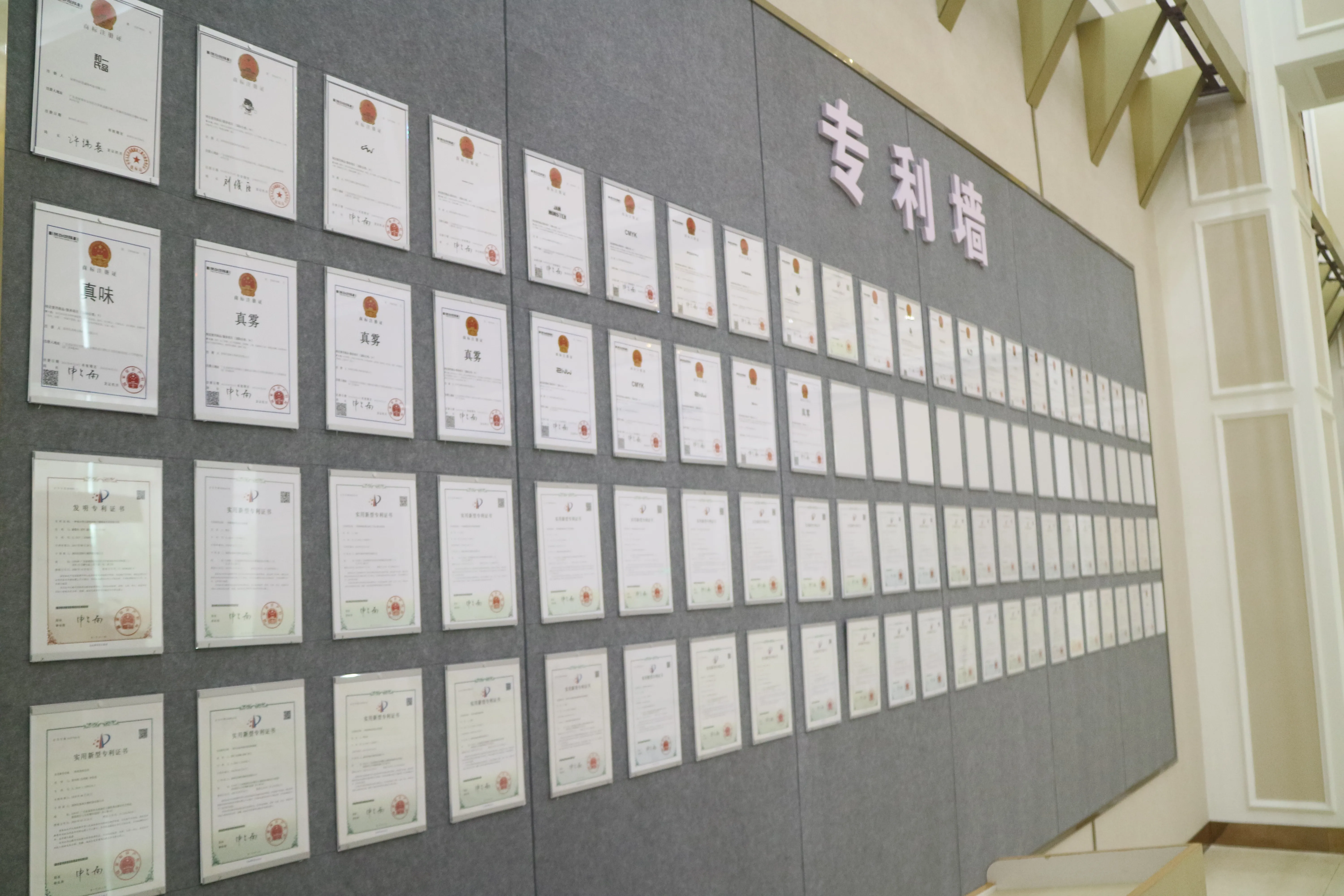 电子烟怎么吐出烟圈？保姆级教程在这里！ - 真味生物