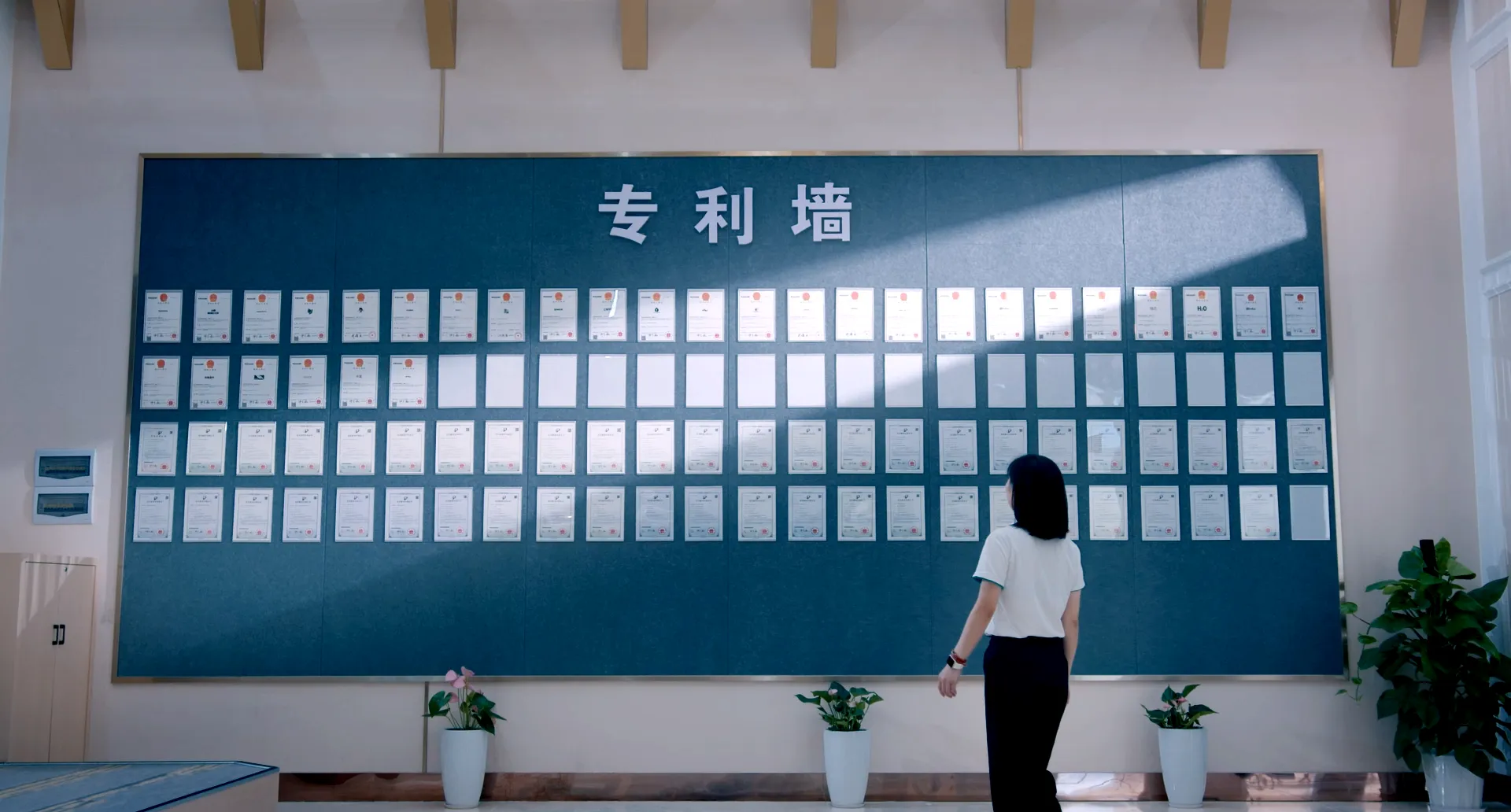 真味生物雾化液专利墙