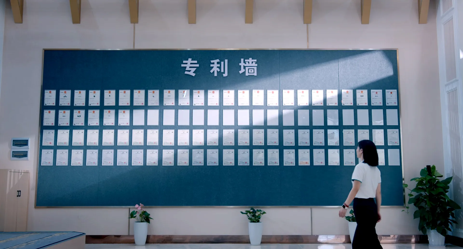 真味生物 - 电子香烟多少一支