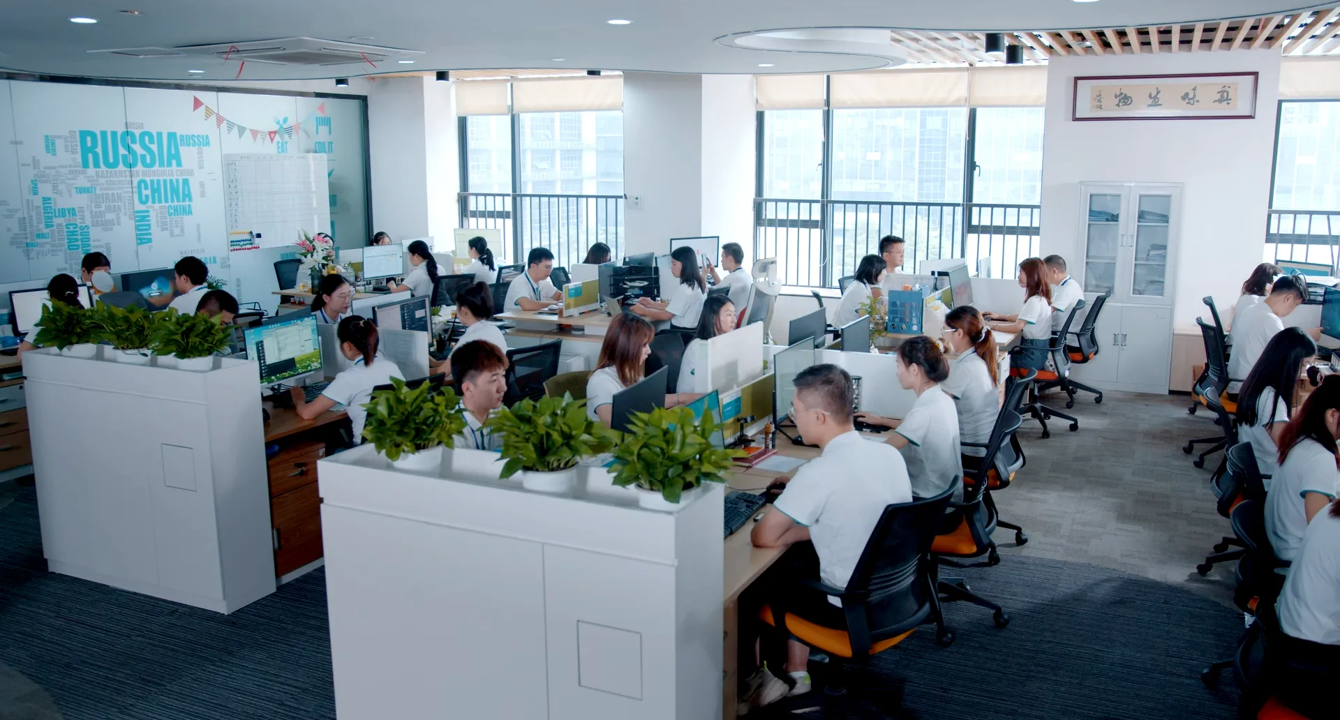 烟草专卖许可证怎么办理？ - 真味生物