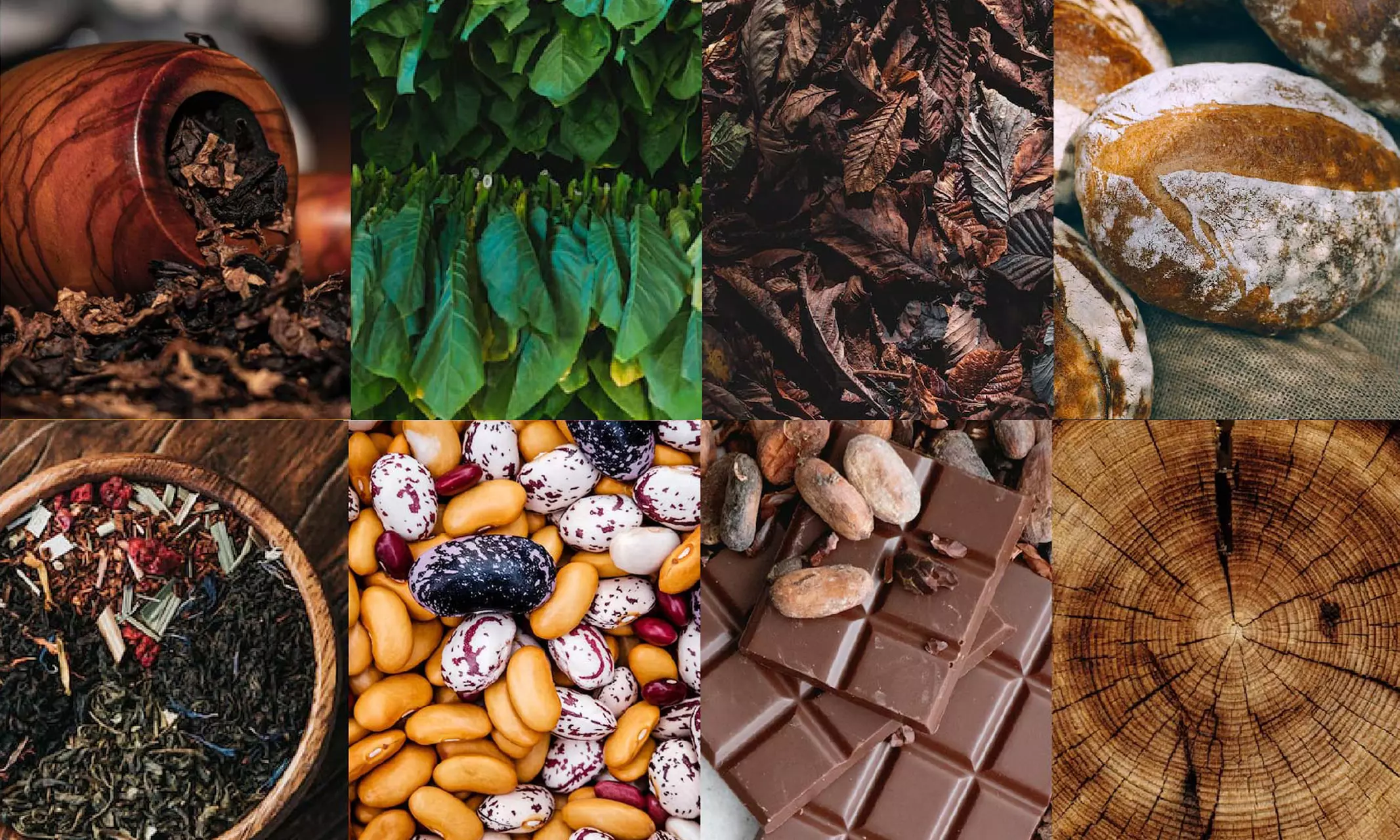 真味生物拥有极其丰富的风味数据库及严谨的风味开发流程。