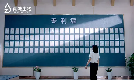 Gmp生产标准是什么意思？