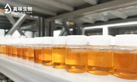 烟草中烟碱的提取