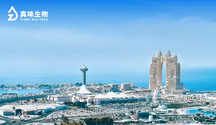 倾听中东本土化需求丨中东地区风味解决方案新升级！