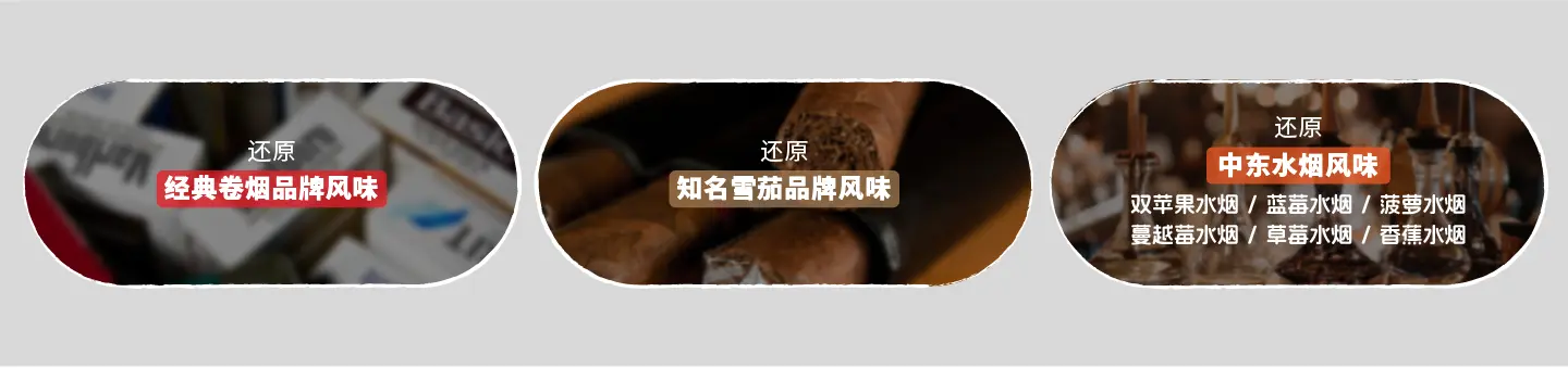 布局未来，真味全球烟香风味解决方案推荐-真味生物