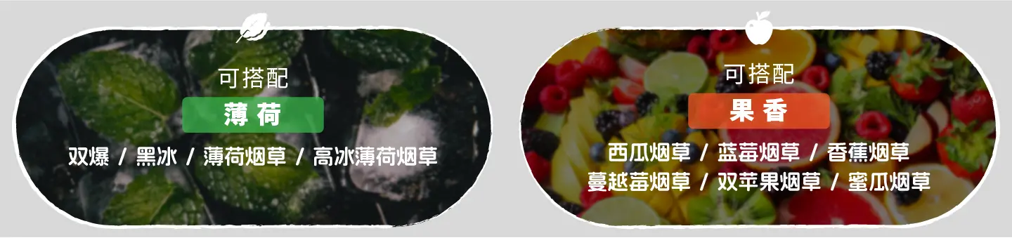 布局未来，真味全球烟香风味解决方案推荐-真味生物