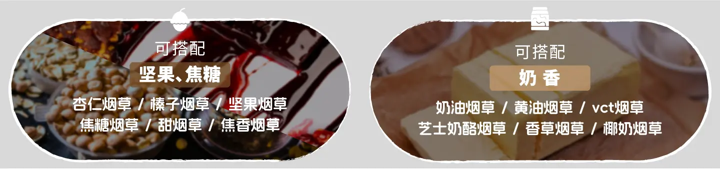 布局未来，真味全球烟香风味解决方案推荐-真味生物