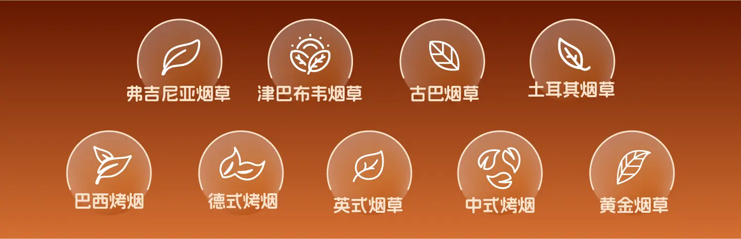 布局未来，真味全球烟香风味解决方案推荐-真味生物