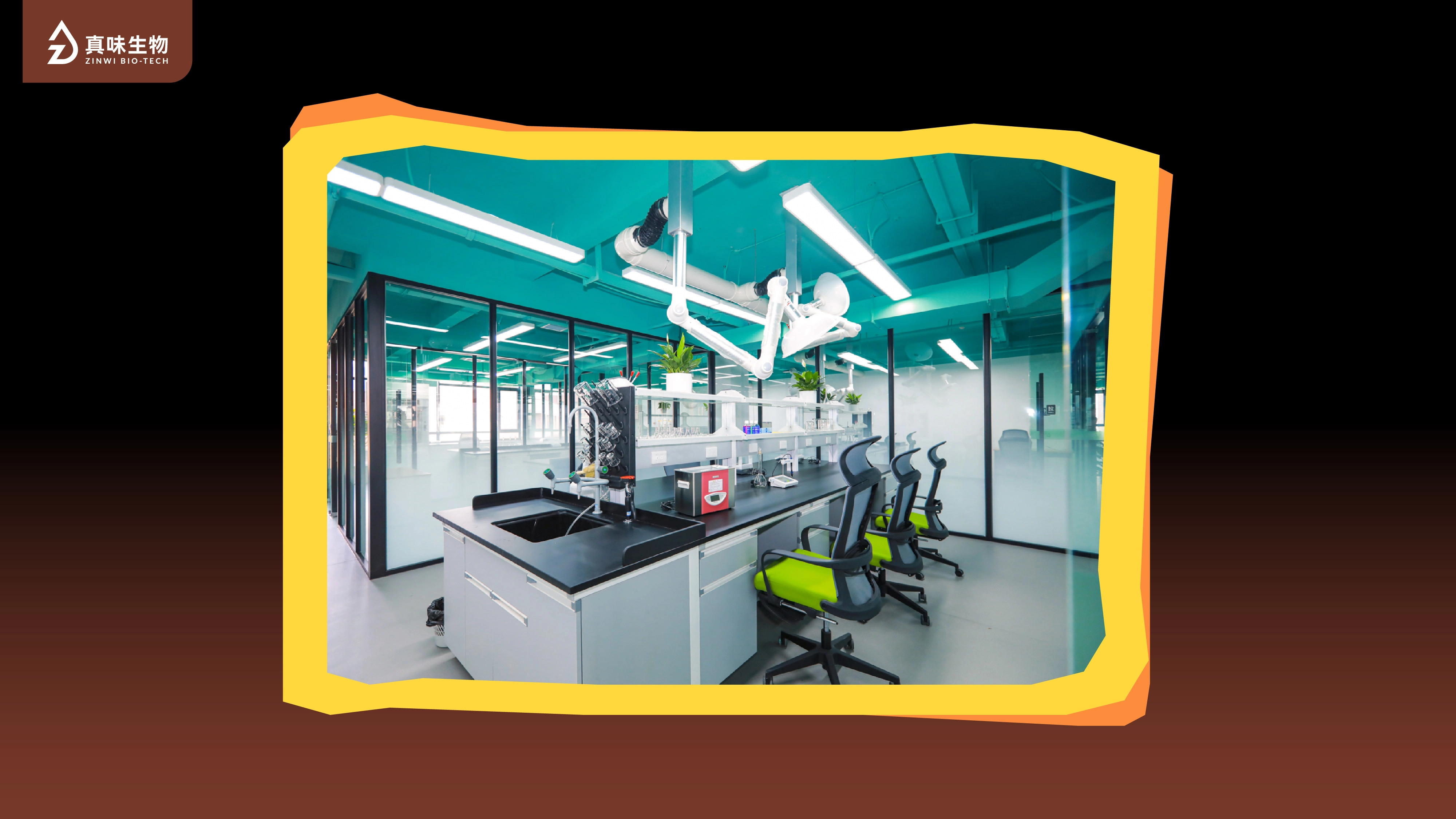 真味生物迎合未来：烟草风味产品在欧洲市场的挑战与机遇