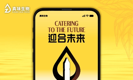 迎合未来：烟草风味产品在欧洲市场的挑战与机遇