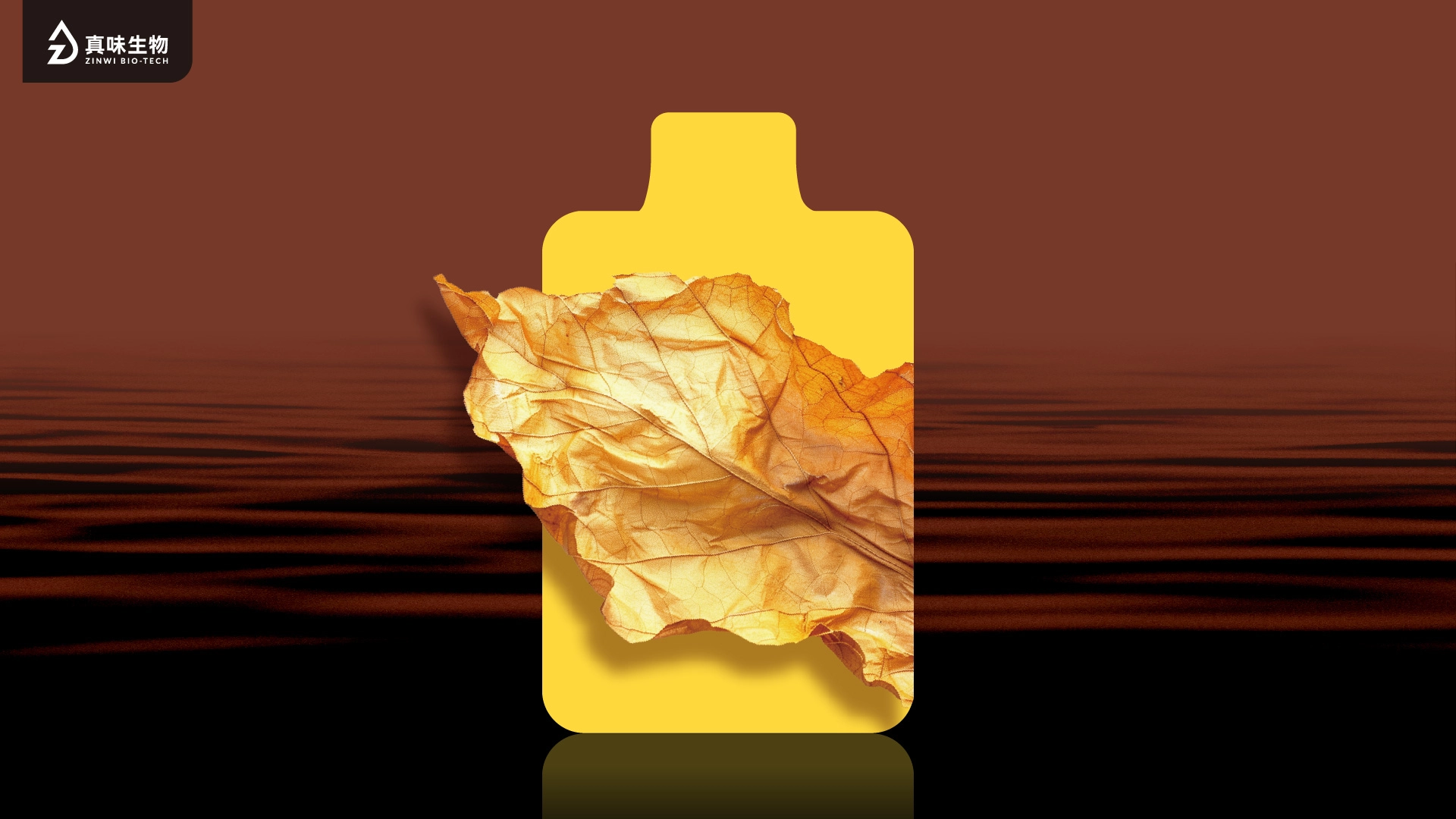 真味生物引领大口数设备的烟香风味革新