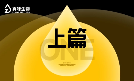 真味生物烟草风味产品的感官体验提升之路（上）