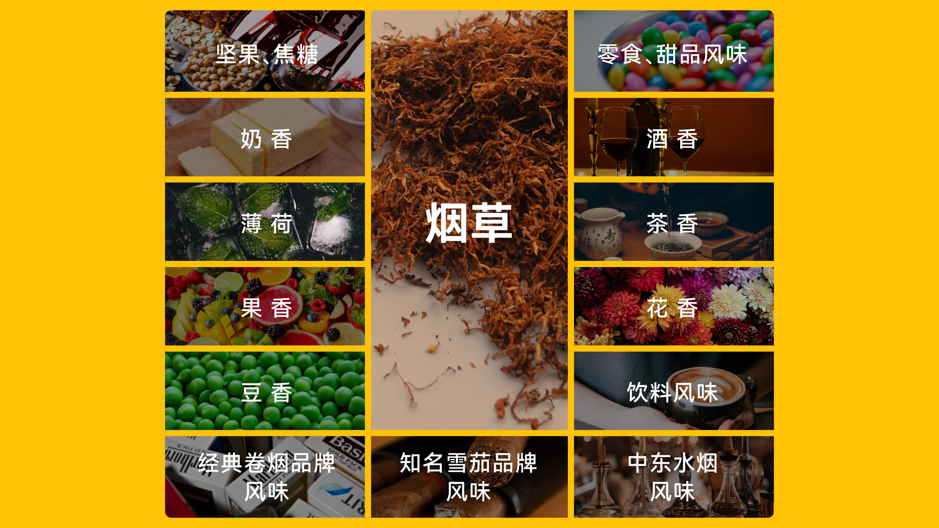 真味生物烟草风味产品的感官体验提升之路（中）