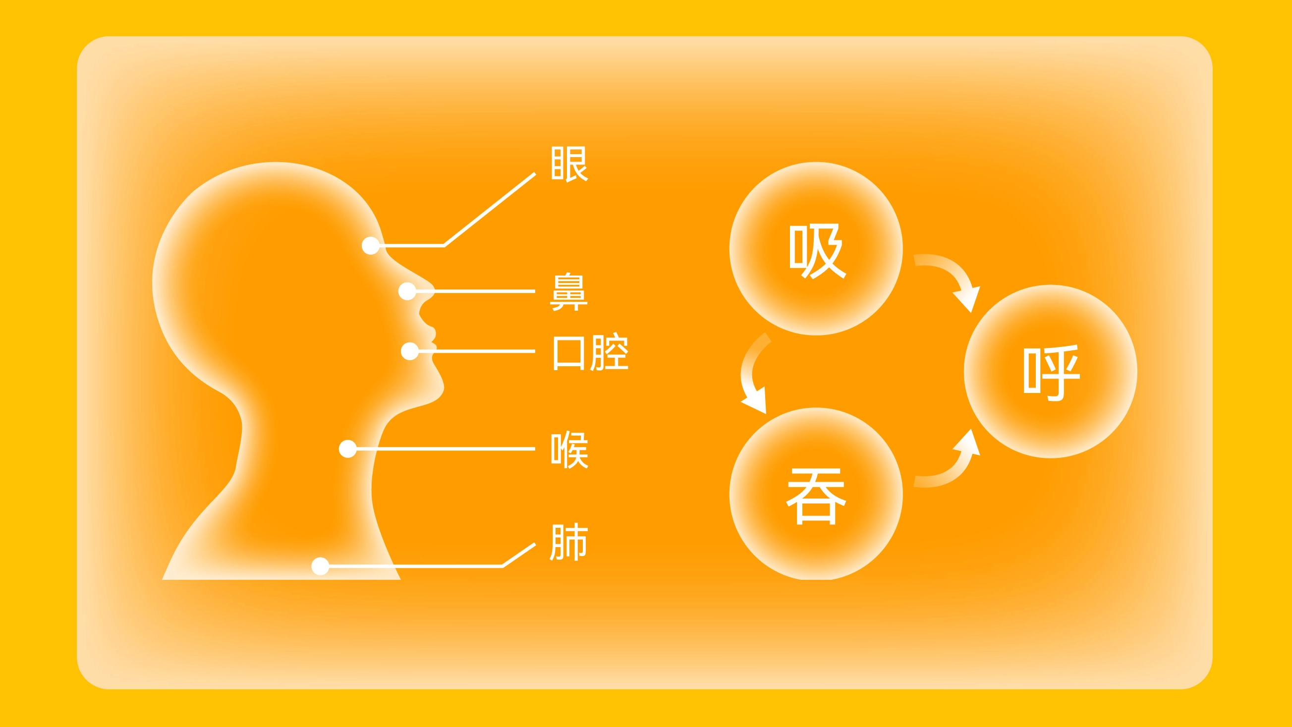 真味生物烟草风味产品的感官体验提升之路（中）