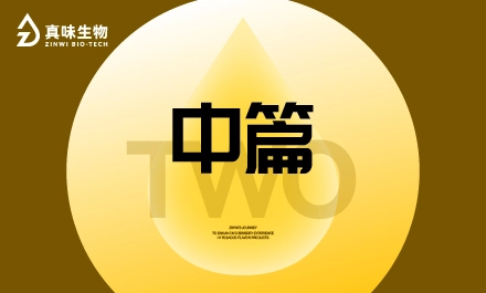 真味生物烟草风味产品的感官体验提升之路（中）