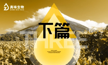 真味生物烟草风味产品的感官体验提升之路（下）