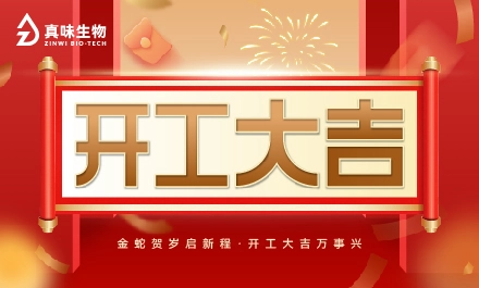 开工大吉万事兴！同心同行，携手共赢！