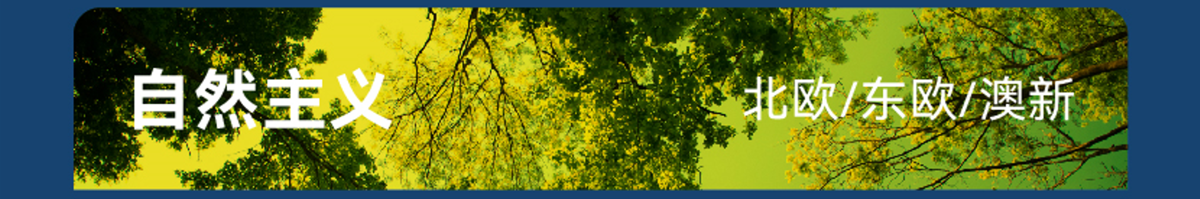 一瓶一世界|每一瓶都是风味故事：真味生物瓶装烟油中的文化旅程