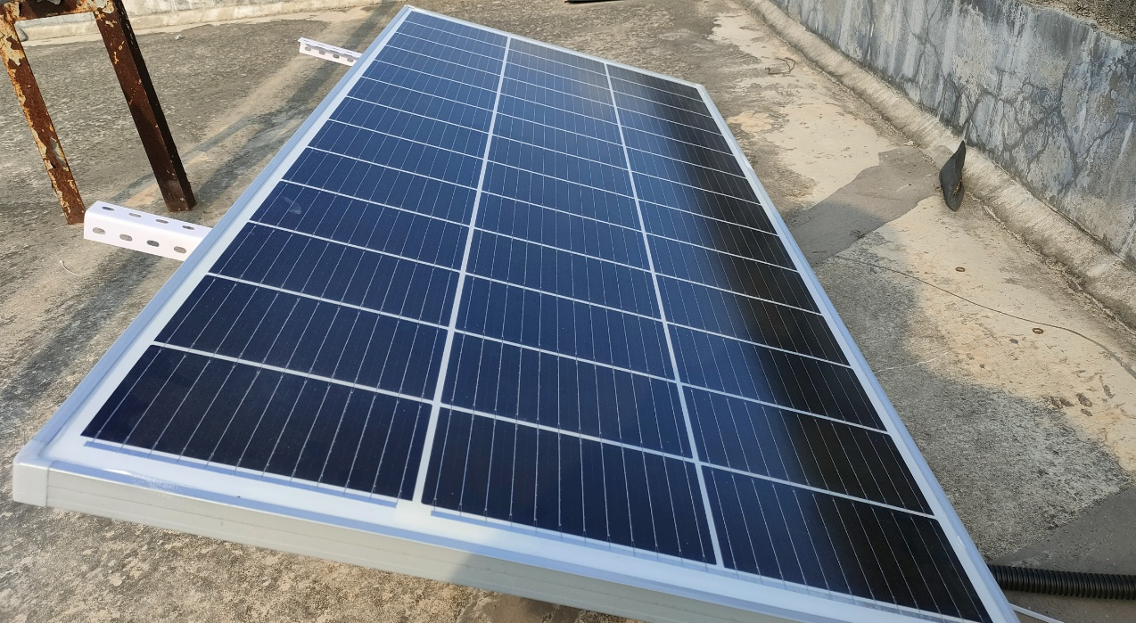 真味生物成功荣获“2025 深圳绿色工厂”称号