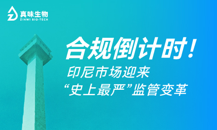 2026印尼合规新政全景解读：B端品牌必看的生存与增长指南