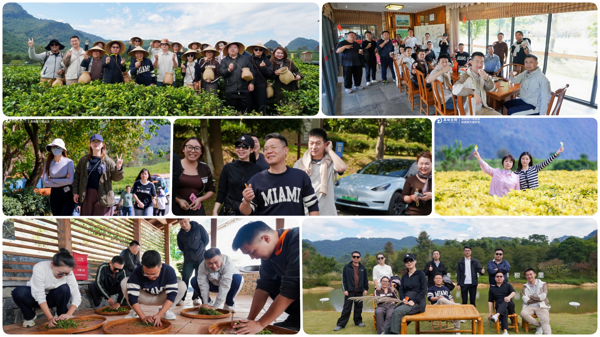 真味生物秋日“撒欢”记：在英德的两天，我们把秋天玩出了“新花 Young”