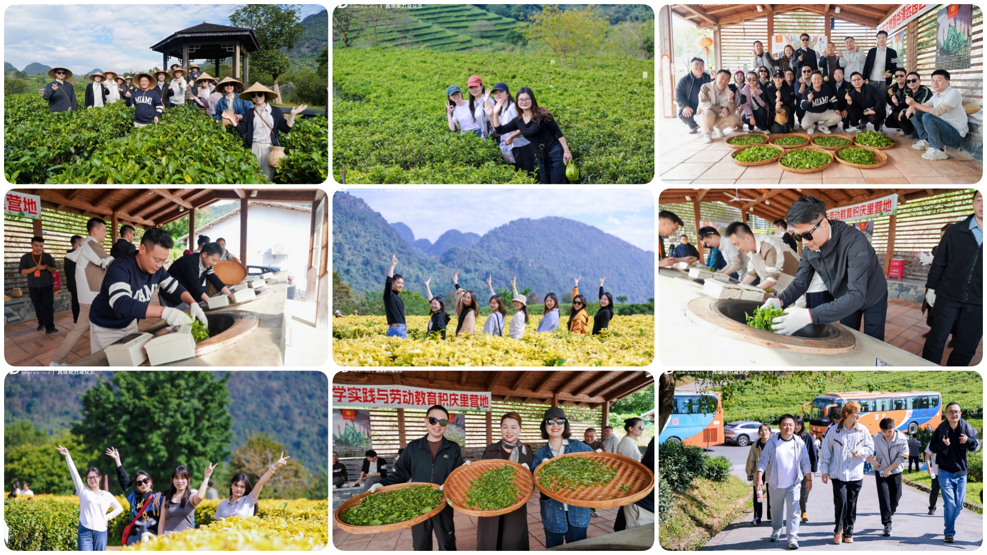 真味生物秋日“撒欢”记：在英德的两天，我们把秋天玩出了“新花 Young”