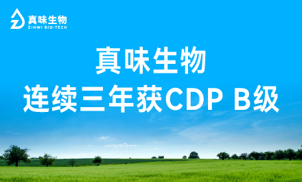 连续3年稳拿CDP B级!选真味生物,合规出海快人一步!